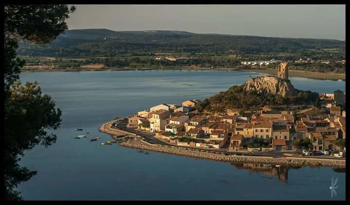 Au Paradis Cathare Fraissé-des-Corbières エクステリア 写真