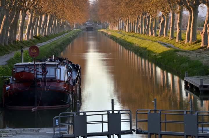 Au Paradis Cathare Fraissé-des-Corbières エクステリア 写真