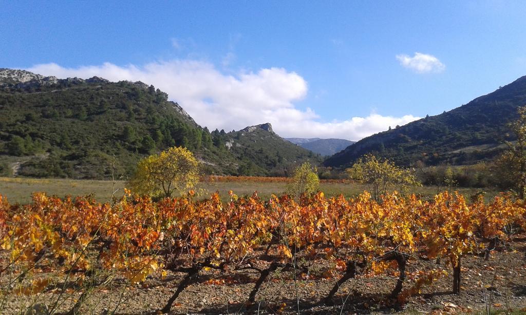 Au Paradis Cathare Fraissé-des-Corbières エクステリア 写真
